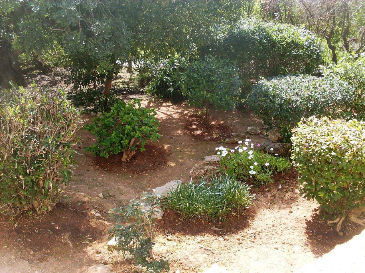 קארבואירו Holiday Home Doroteia By Interhome מראה חיצוני תמונה
