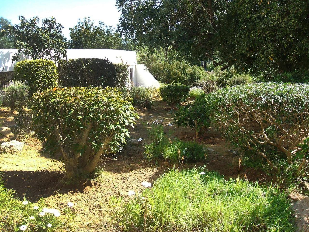 קארבואירו Holiday Home Doroteia By Interhome מראה חיצוני תמונה